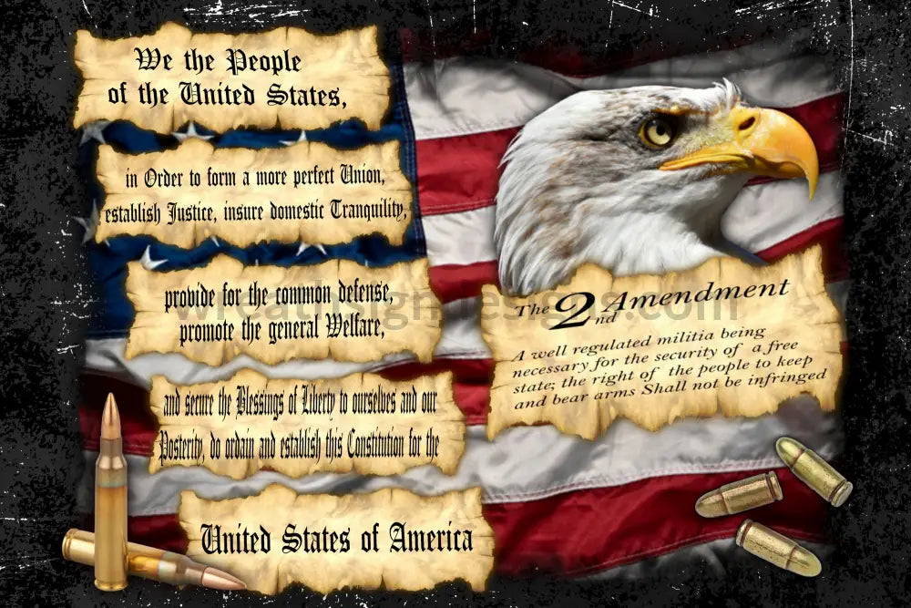 We The People 2Nd Amendment Eagle Metal Sign 8X12
