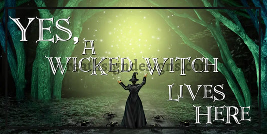 A Wicked Witch Lives Here 6X12 Metal Sign