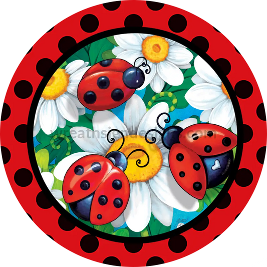 Ladybug And Daisies Circle Metal Sign 8